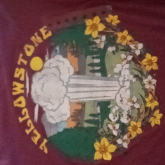 National park foundation NWT Yellowstone  t - Picture 3 of 5